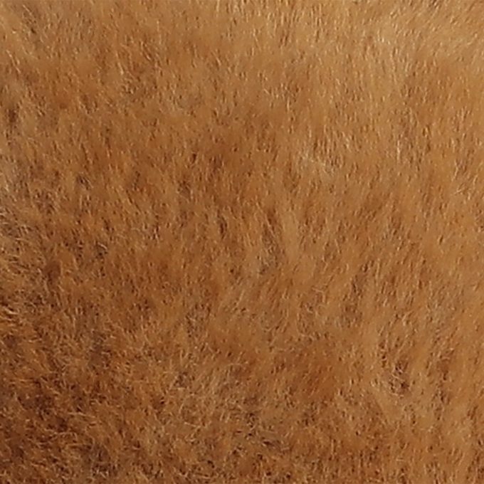 Aurora® - Bear - Softie Bear™
