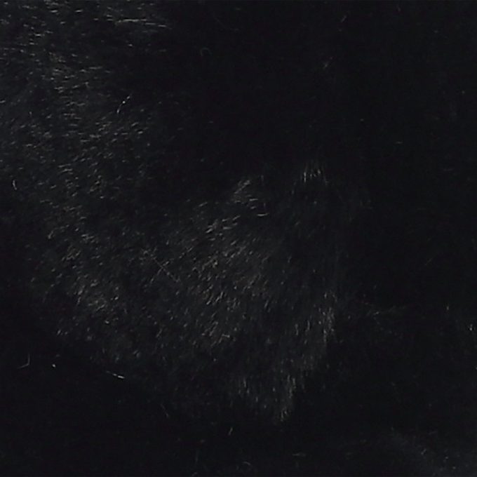 Aurora® - Bear - Bronson Black Bear™