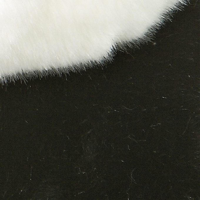 Aurora® - Miyoni® - Panda