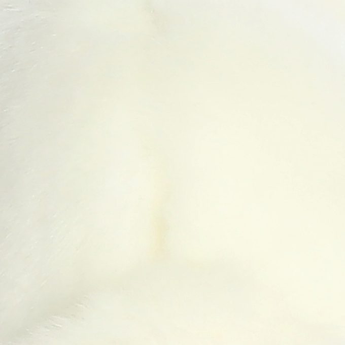 Aurora® - Miyoni® - American White Rabbit
