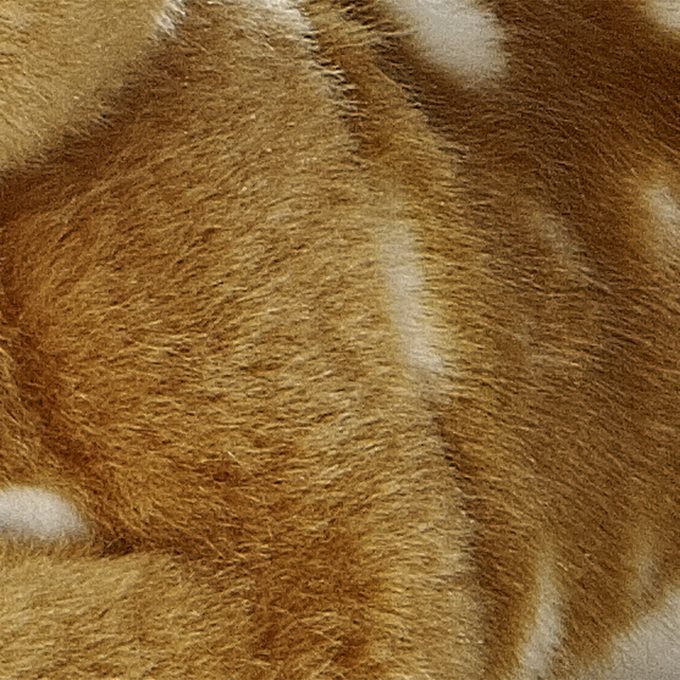 Aurora® - Miyoni® -  Fawn