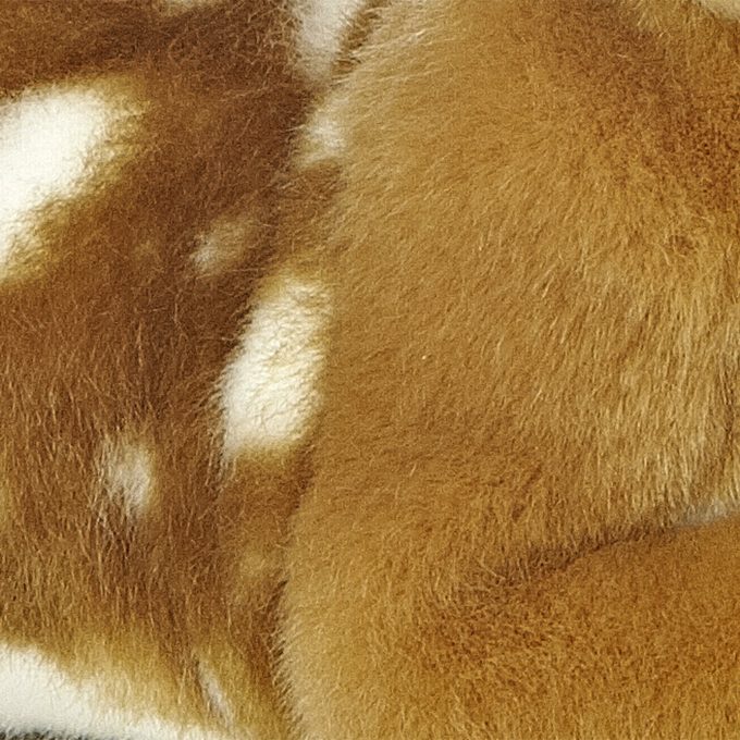 Aurora® - Miyoni® -  Fawn