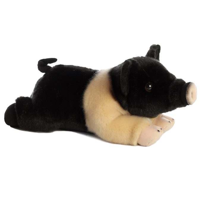 Aurora® - Miyoni® - Hampshire Pig