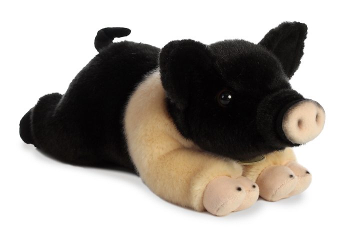 Aurora® - Miyoni® - Hampshire Pig