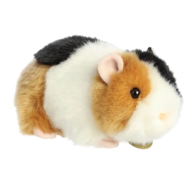Aurora® - Miyoni® - 7.5" American Guinea Pig