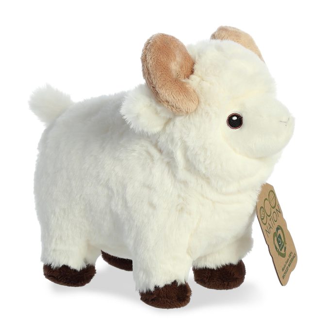 Aurora® - Eco Nation™ - 8" Ram