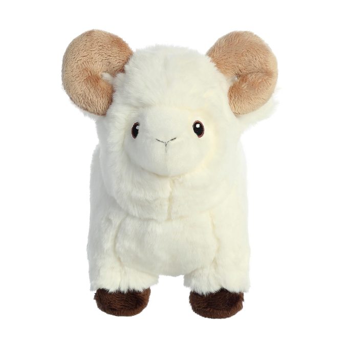 Aurora® - Eco Nation™ - 8" Ram