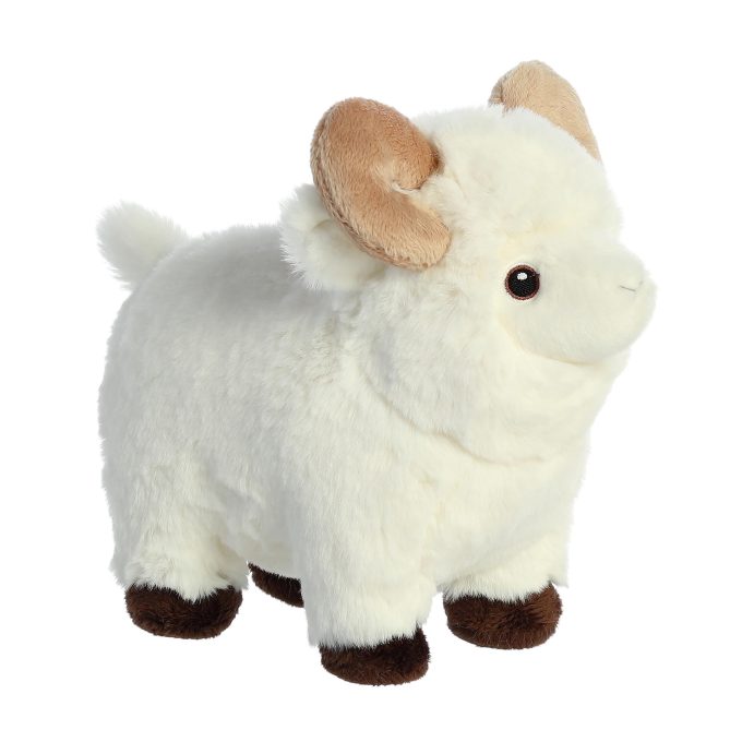 Aurora® - Eco Nation™ - 8" Ram