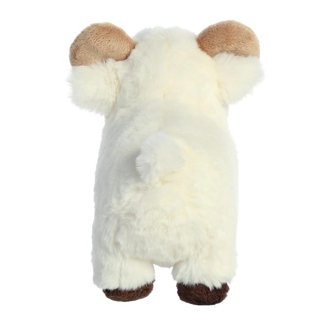 Aurora® - Eco Nation™ - 8" Ram