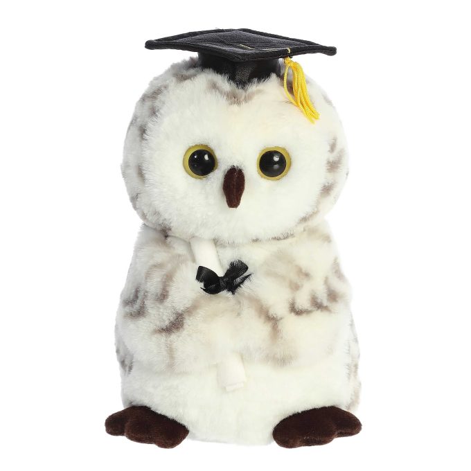 Aurora® - Graduation - 9" Smart Owl™