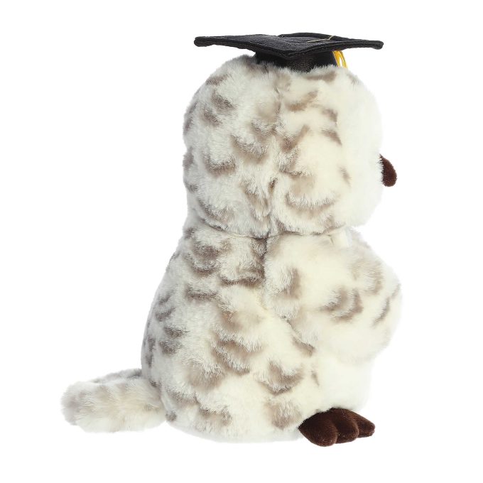 Aurora® - Graduation - 9" Smart Owl™