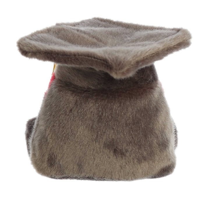 Aurora® - Palm Pals™ - 5" Scholarly Graduation Cap™