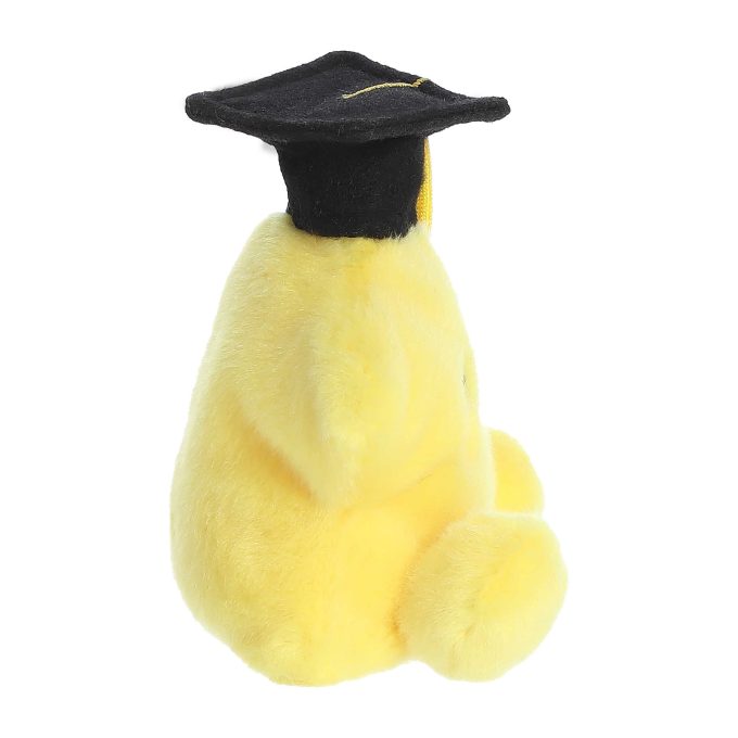 Aurora® - Palm Pals™ - 5" Magna Graduation Star™