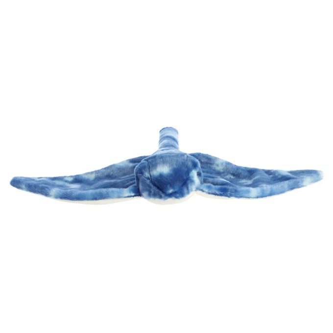 Aurora® - Destination Nation™ - 19" Stingray - Blue